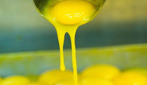 Yellow egg yolk dripping down a spoon